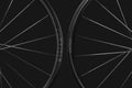 GCX Team (Road/Gravel) My Store
